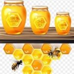 Producteur de Miel en Provence