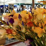 marché fleurs - Les vitrines de provence